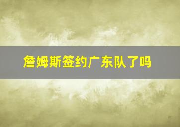 詹姆斯签约广东队了吗