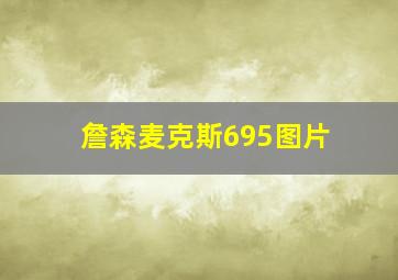 詹森麦克斯695图片