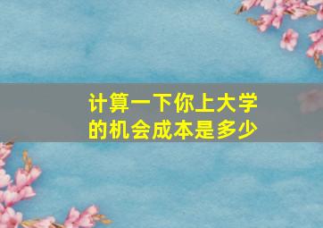 计算一下你上大学的机会成本是多少