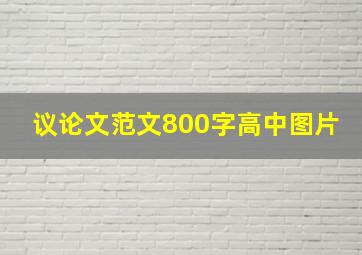 议论文范文800字高中图片