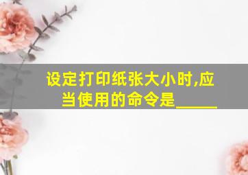 设定打印纸张大小时,应当使用的命令是_____