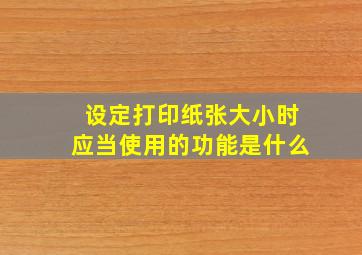 设定打印纸张大小时应当使用的功能是什么