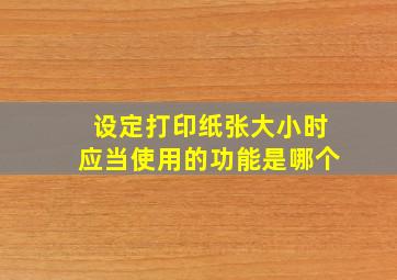 设定打印纸张大小时应当使用的功能是哪个