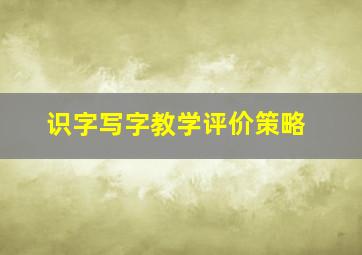 识字写字教学评价策略