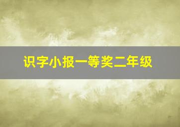 识字小报一等奖二年级