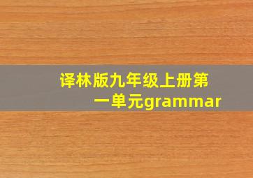 译林版九年级上册第一单元grammar