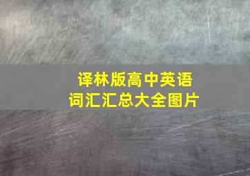 译林版高中英语词汇汇总大全图片