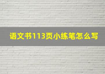 语文书113页小练笔怎么写