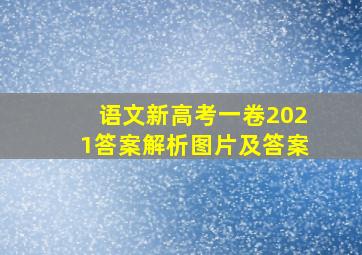 语文新高考一卷2021答案解析图片及答案