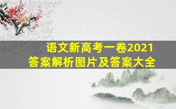 语文新高考一卷2021答案解析图片及答案大全