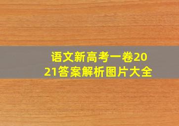 语文新高考一卷2021答案解析图片大全