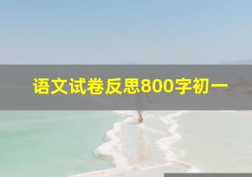 语文试卷反思800字初一