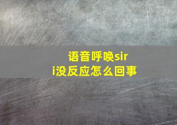 语音呼唤siri没反应怎么回事