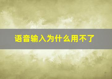 语音输入为什么用不了