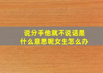 说分手他就不说话是什么意思呢女生怎么办