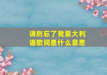 请别忘了我意大利语歌词是什么意思