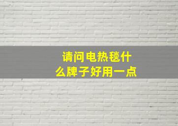 请问电热毯什么牌子好用一点