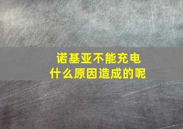 诺基亚不能充电什么原因造成的呢