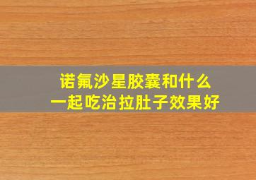 诺氟沙星胶囊和什么一起吃治拉肚子效果好