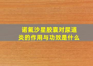 诺氟沙星胶囊对尿道炎的作用与功效是什么