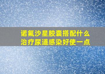 诺氟沙星胶囊搭配什么治疗尿道感染好使一点