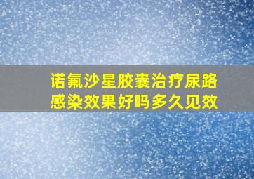 诺氟沙星胶囊治疗尿路感染效果好吗多久见效