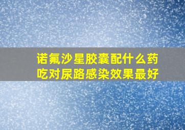 诺氟沙星胶囊配什么药吃对尿路感染效果最好