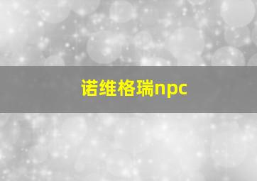 诺维格瑞npc