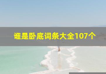 谁是卧底词条大全107个