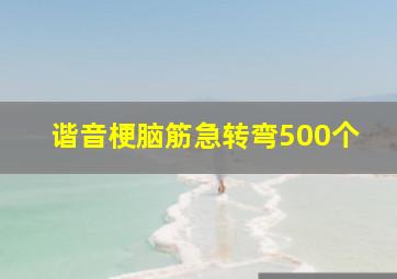 谐音梗脑筋急转弯500个