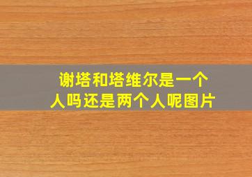 谢塔和塔维尔是一个人吗还是两个人呢图片