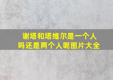 谢塔和塔维尔是一个人吗还是两个人呢图片大全