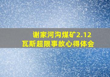 谢家河沟煤矿2.12瓦斯超限事故心得体会