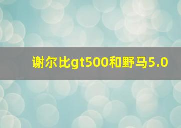 谢尔比gt500和野马5.0