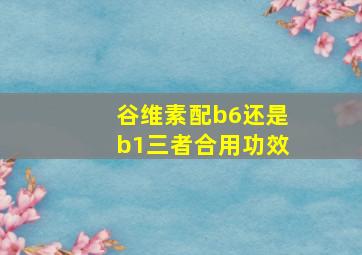 谷维素配b6还是b1三者合用功效