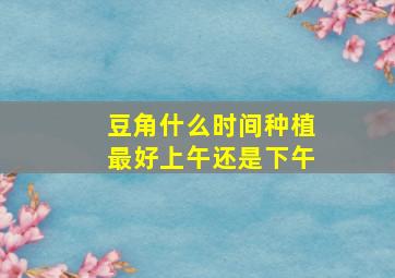 豆角什么时间种植最好上午还是下午