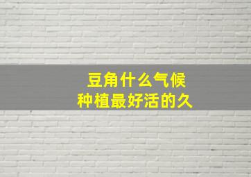 豆角什么气候种植最好活的久