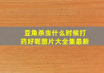 豆角杀虫什么时候打药好呢图片大全集最新