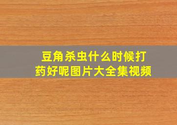 豆角杀虫什么时候打药好呢图片大全集视频