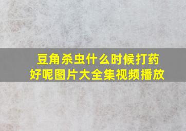 豆角杀虫什么时候打药好呢图片大全集视频播放