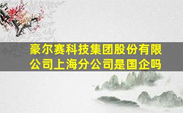 豪尔赛科技集团股份有限公司上海分公司是国企吗