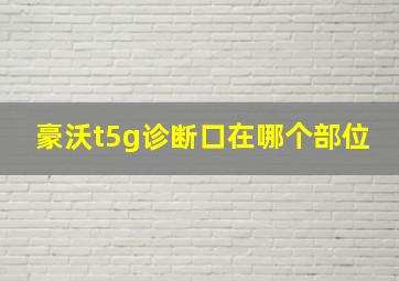 豪沃t5g诊断口在哪个部位