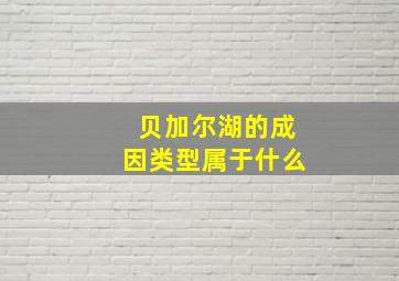 贝加尔湖的成因类型属于什么