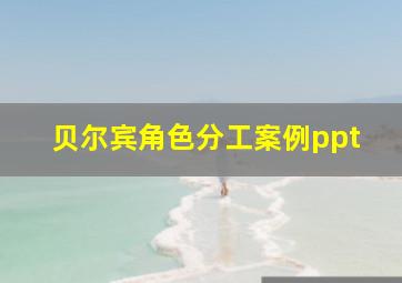 贝尔宾角色分工案例ppt