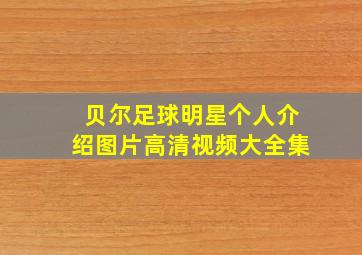 贝尔足球明星个人介绍图片高清视频大全集