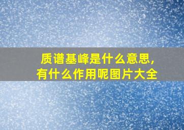 质谱基峰是什么意思,有什么作用呢图片大全