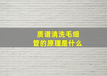 质谱清洗毛细管的原理是什么