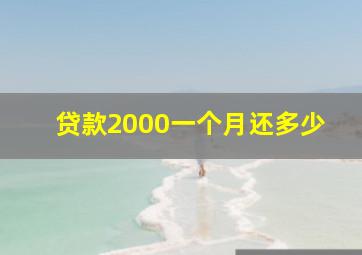 贷款2000一个月还多少