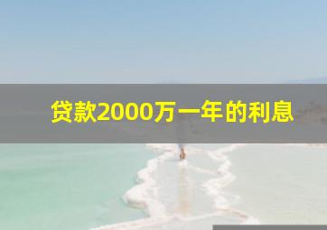 贷款2000万一年的利息