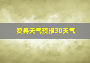 费县天气预报30天气